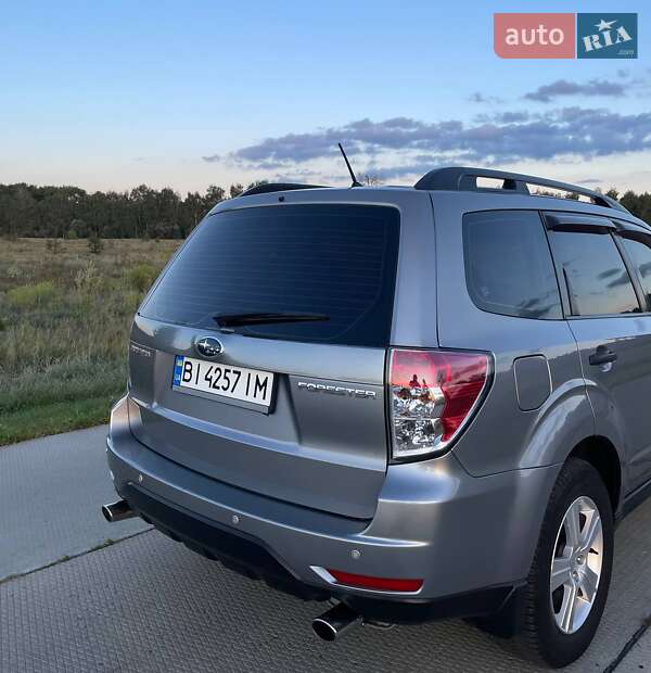Внедорожник / Кроссовер Subaru Forester 2008 в Гадяче