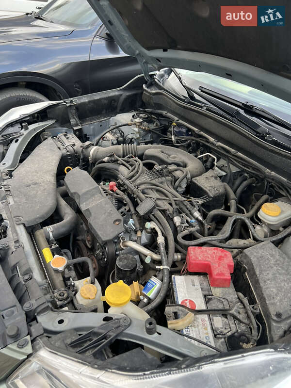 Внедорожник / Кроссовер Subaru Forester 2014 в Ивано-Франковске