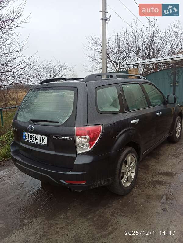 Внедорожник / Кроссовер Subaru Forester 2008 в Кременчуге фото 2 Внедорожник / Кроссовер Subaru Forester 2008 в Кременчуге