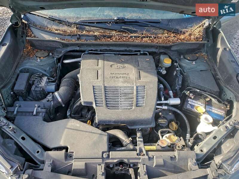 Позашляховик / Кросовер Subaru Forester 2020 в Вінниці