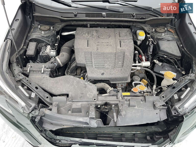 Позашляховик / Кросовер Subaru Forester 2023 в Луцьку