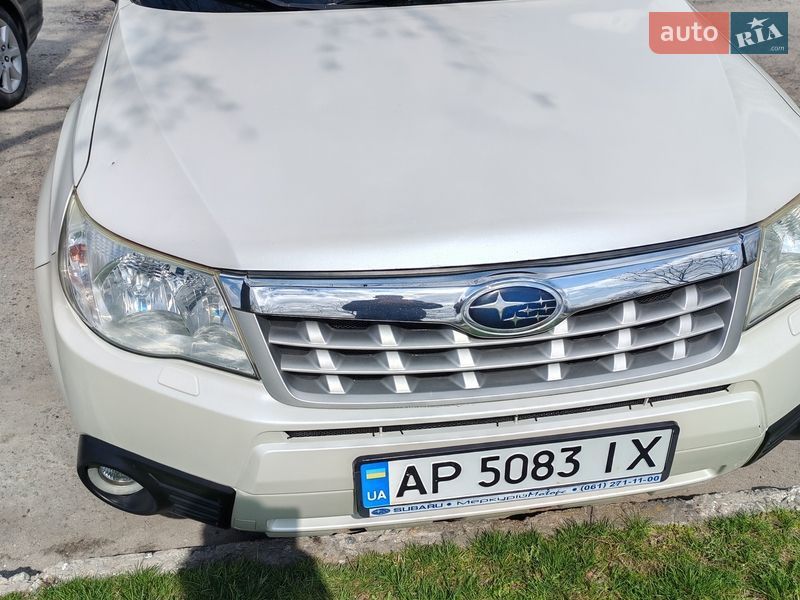 Внедорожник / Кроссовер Subaru Forester 2012 в Запорожье фото Внедорожник / Кроссовер Subaru Forester 2012 в Запорожье