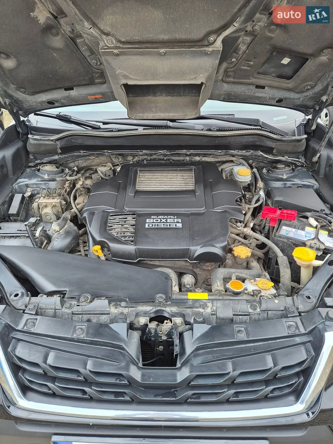 2017 Subaru Forester - мініатюра 12