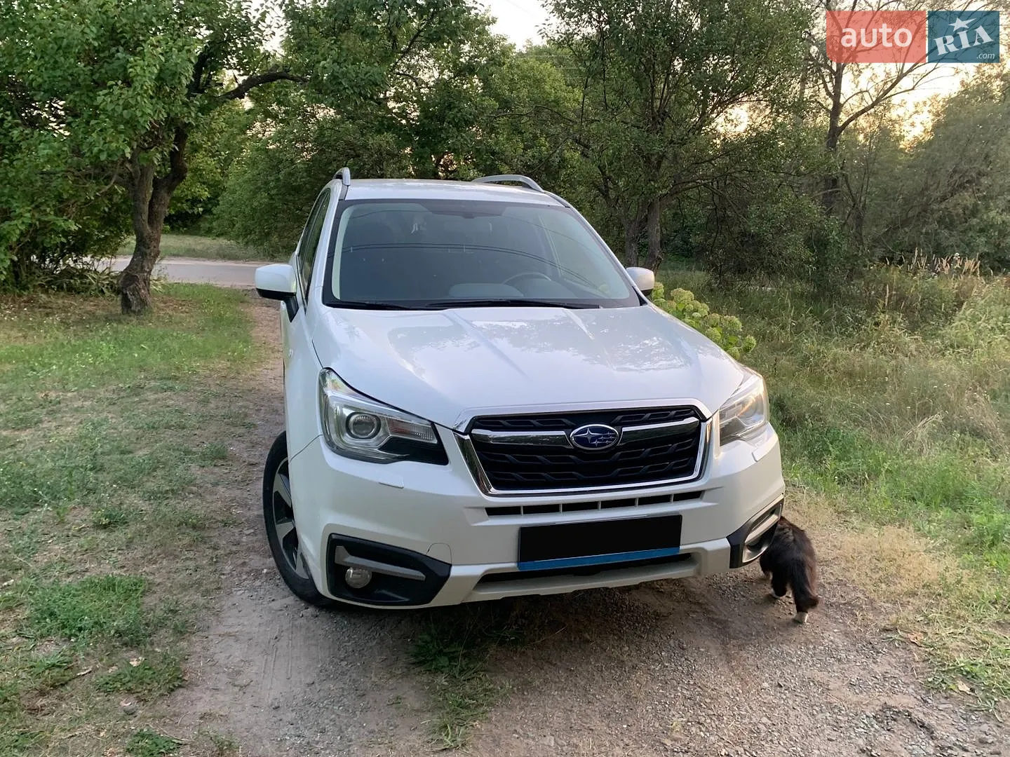 2017 Subaru Forester - мініатюра 42