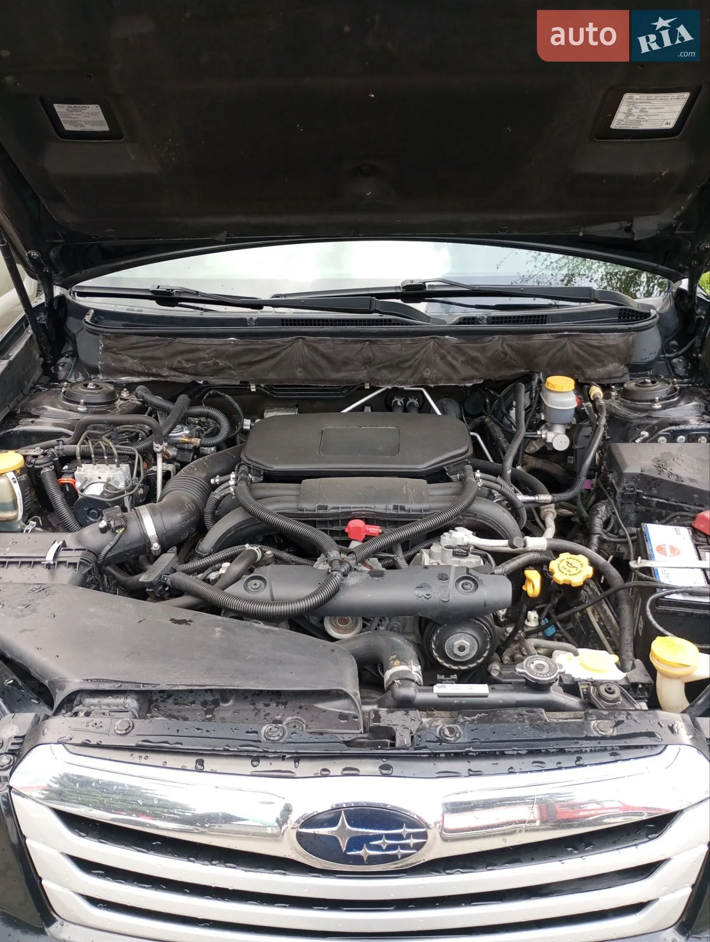 2012 Subaru Outback - мініатюра 5