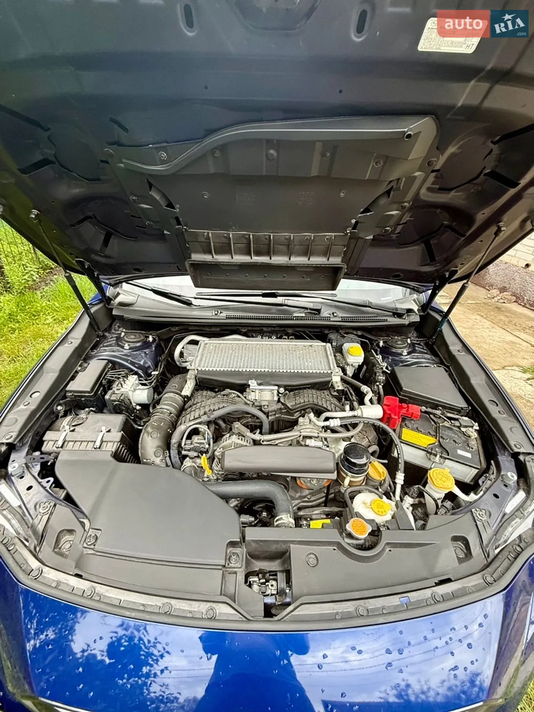 2022 Subaru WRX - мініатюра 15