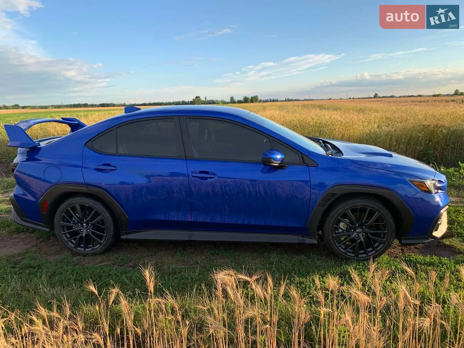 2024 Subaru WRX - фото 1
