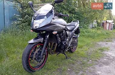 Мотоцикл Без обтекателей (Naked bike) Suzuki GSF 650 Bandit 2010 в 