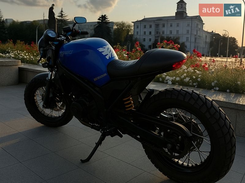 Suzuki SV 650S 2002 Suzuki SV 650S 2002