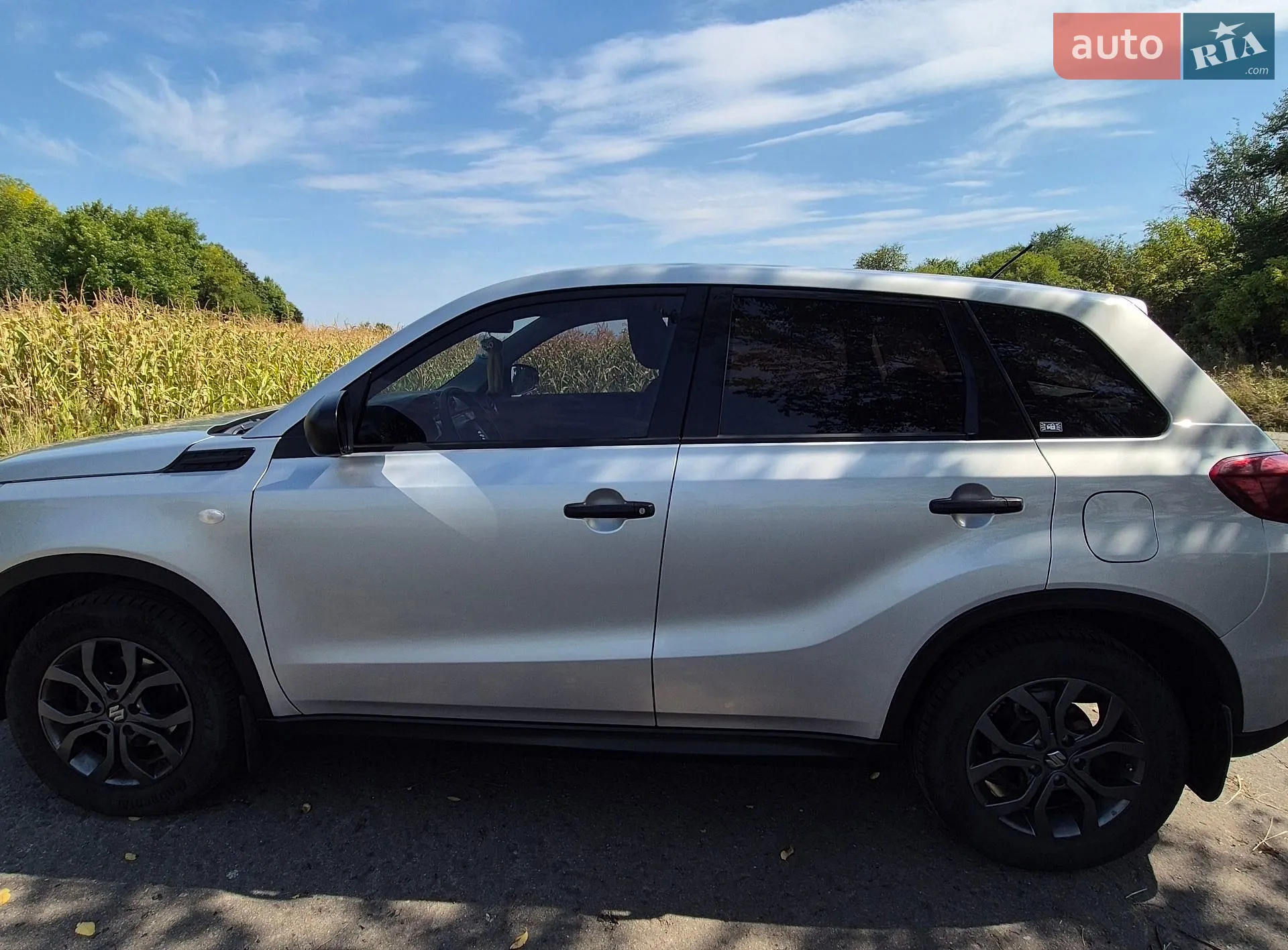 2019 Suzuki Vitara - фото 1