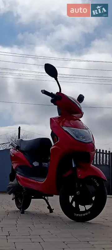 TaiLG TL 2021