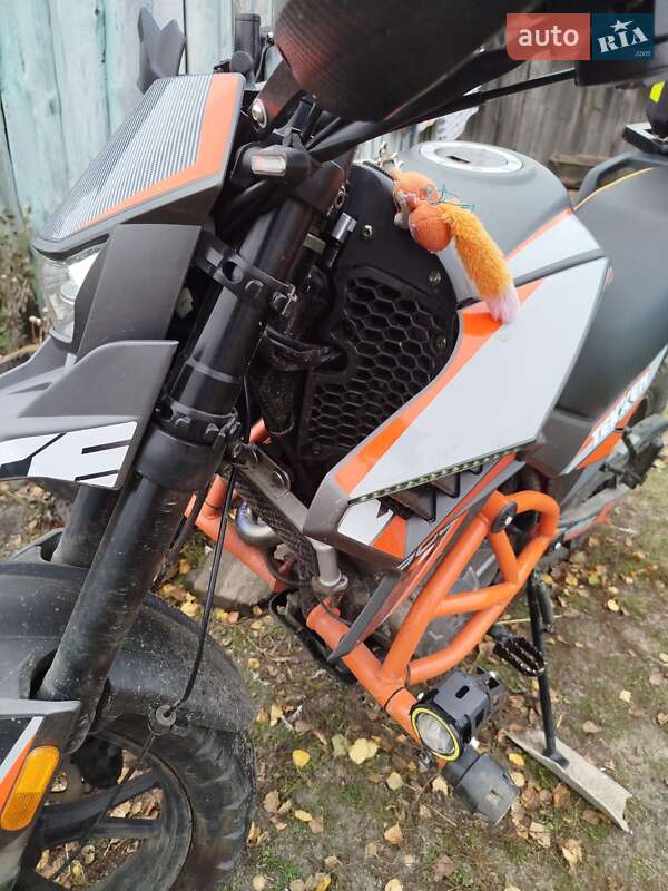 Мотоцикл Кросс Tekken 300 2025 в Олевске фото 2 Мотоцикл Кросс Tekken 300 2025 в Олевске