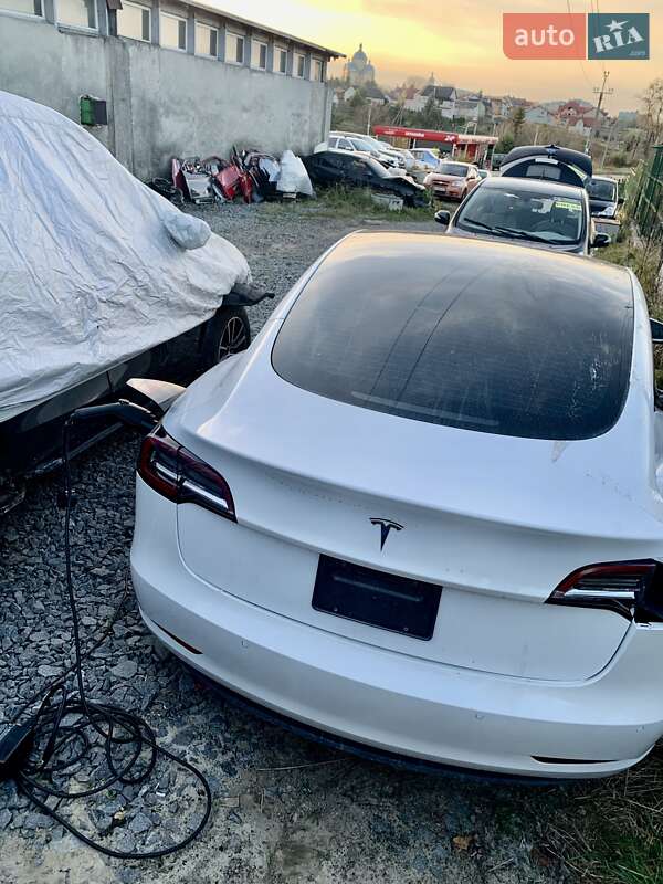 Седан Tesla Model 3 2021 в Львове