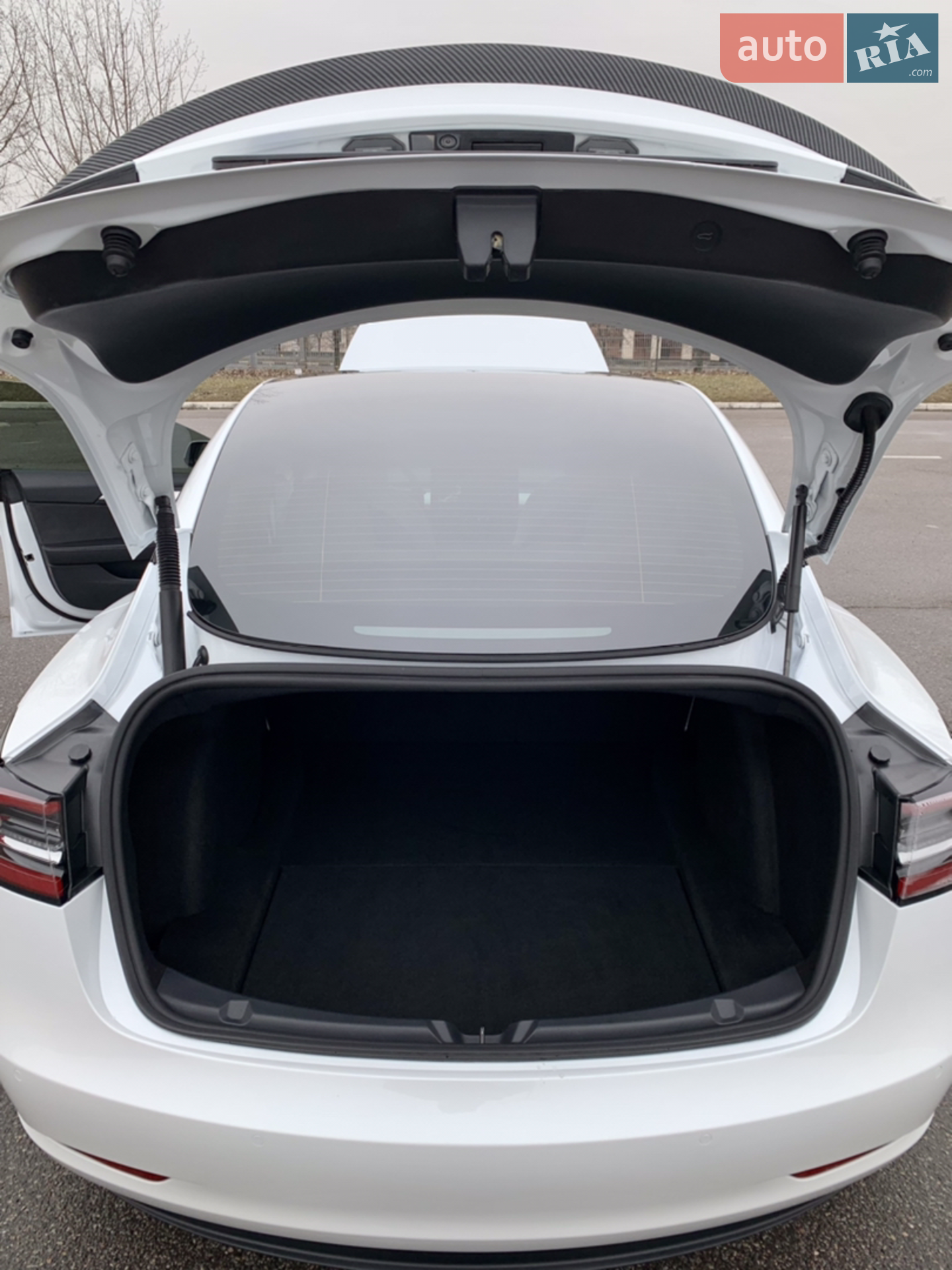 2021 Tesla Model 3 - мініатюра 27
