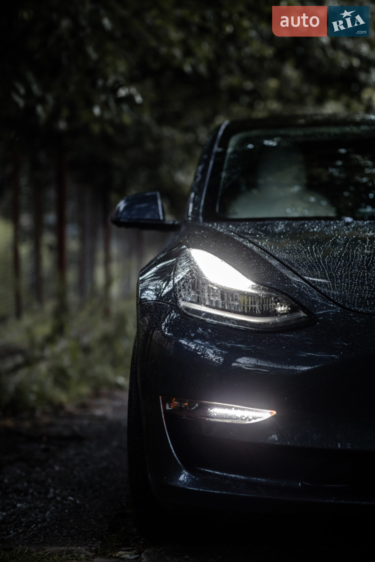 2020 Tesla Model 3 - мініатюра 2
