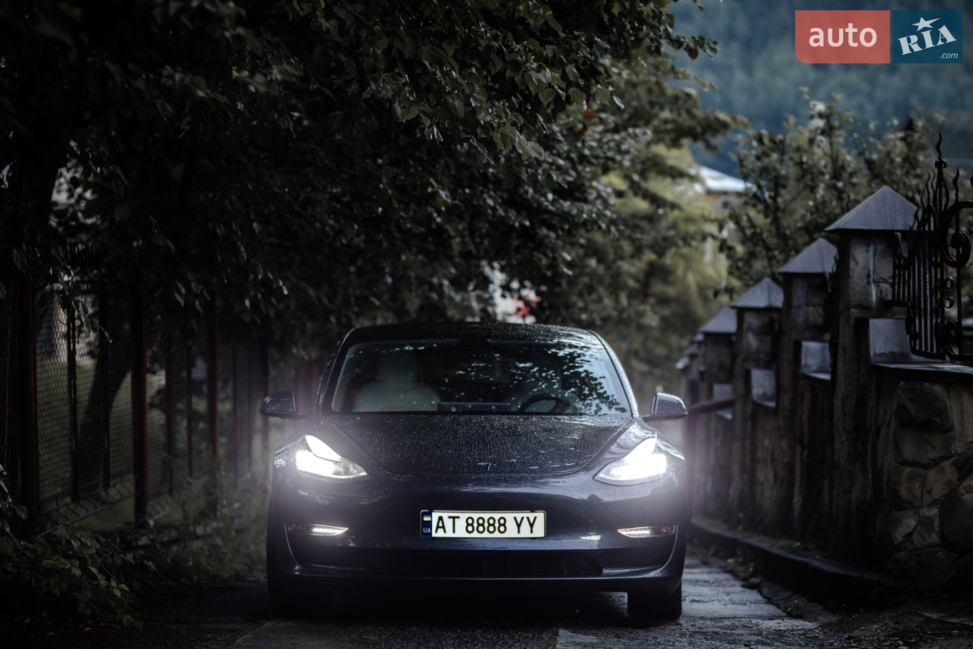 2020 Tesla Model 3 - мініатюра 39