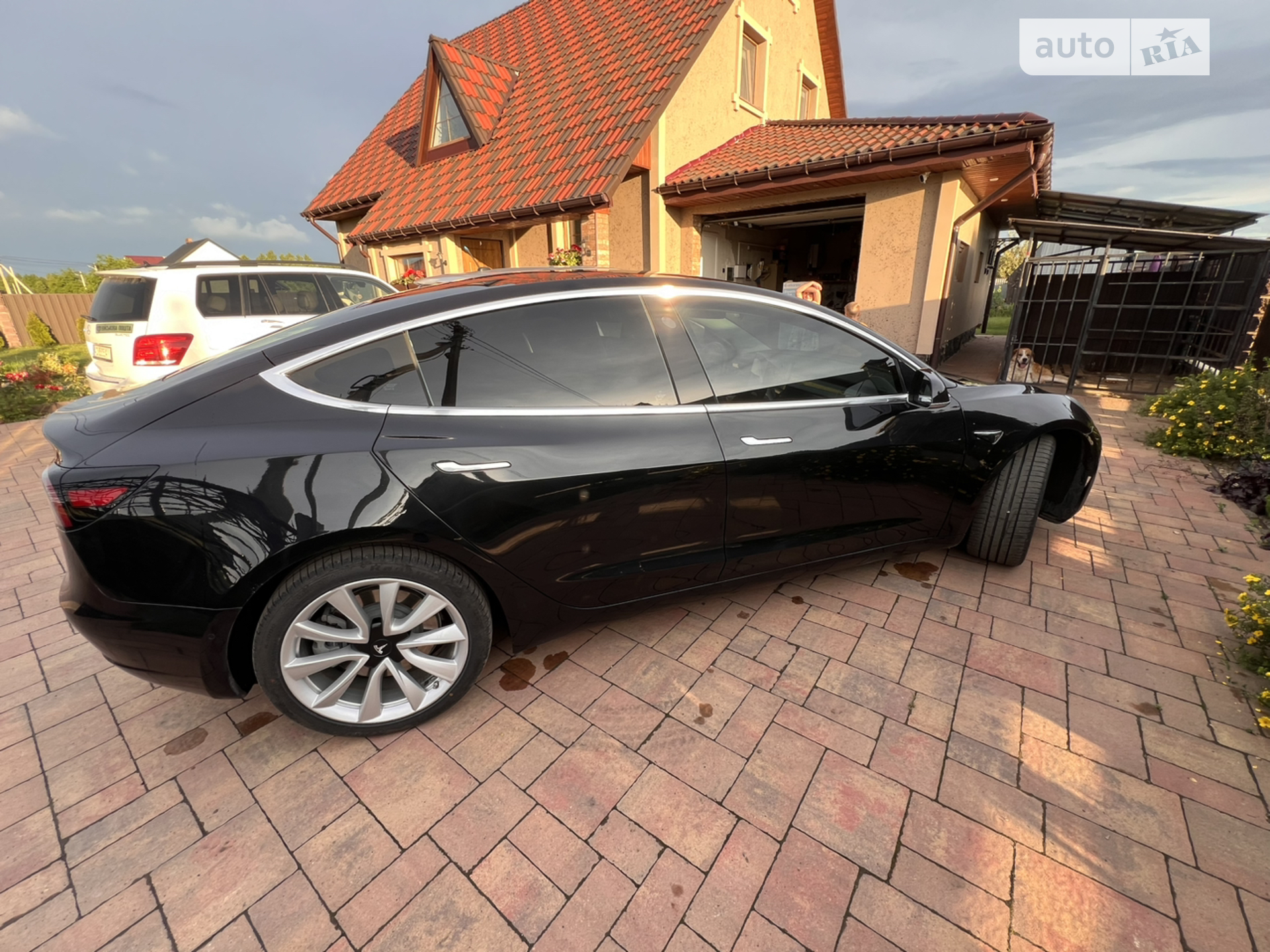 2018 Tesla Model 3 - мініатюра 3