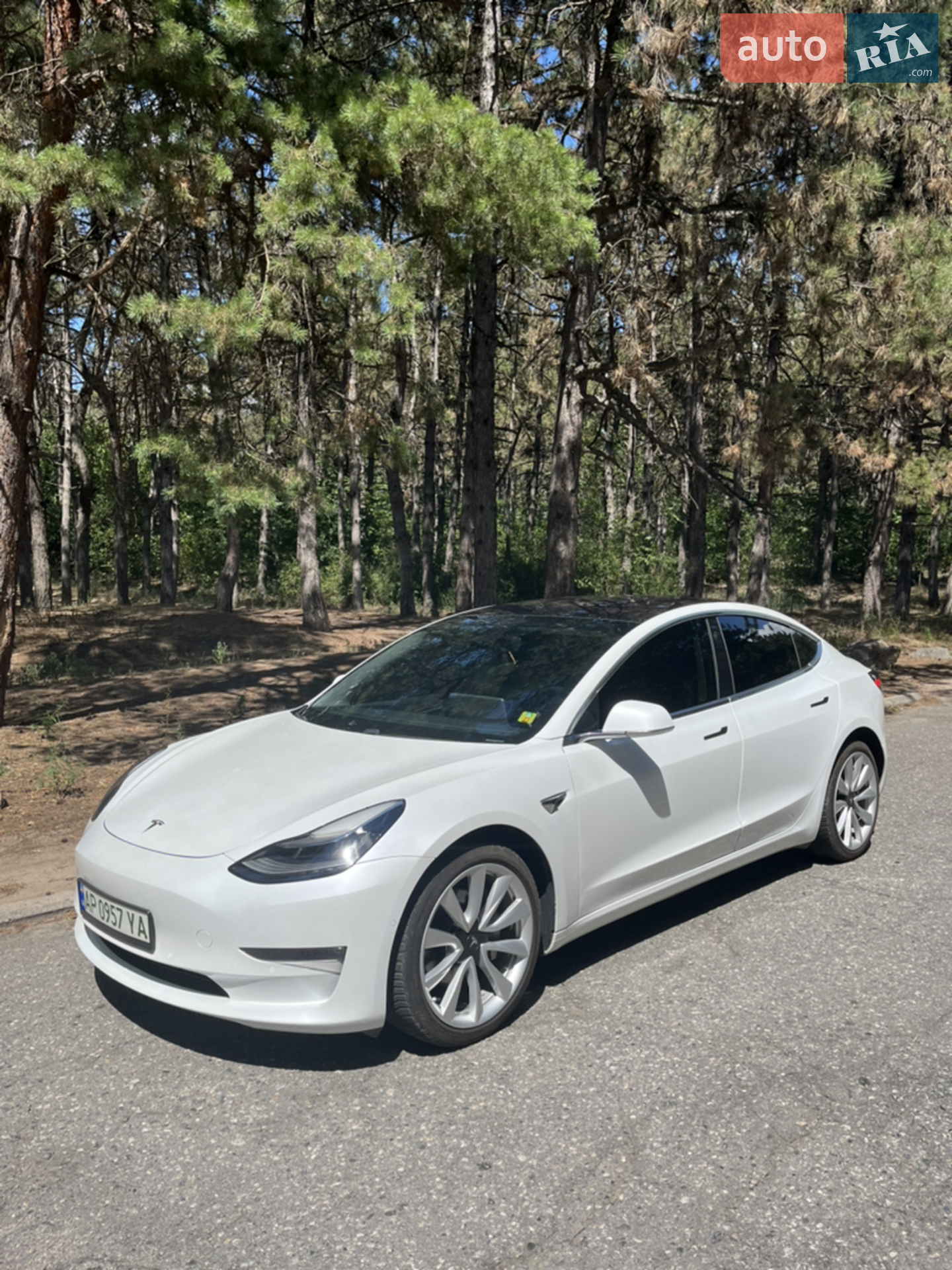 2019 Tesla Model 3 - фото 1