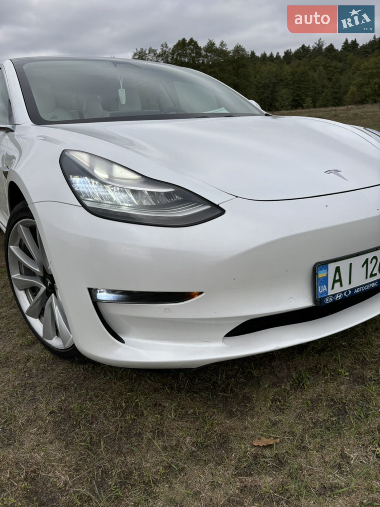 2019 Tesla Model 3 - мініатюра 2