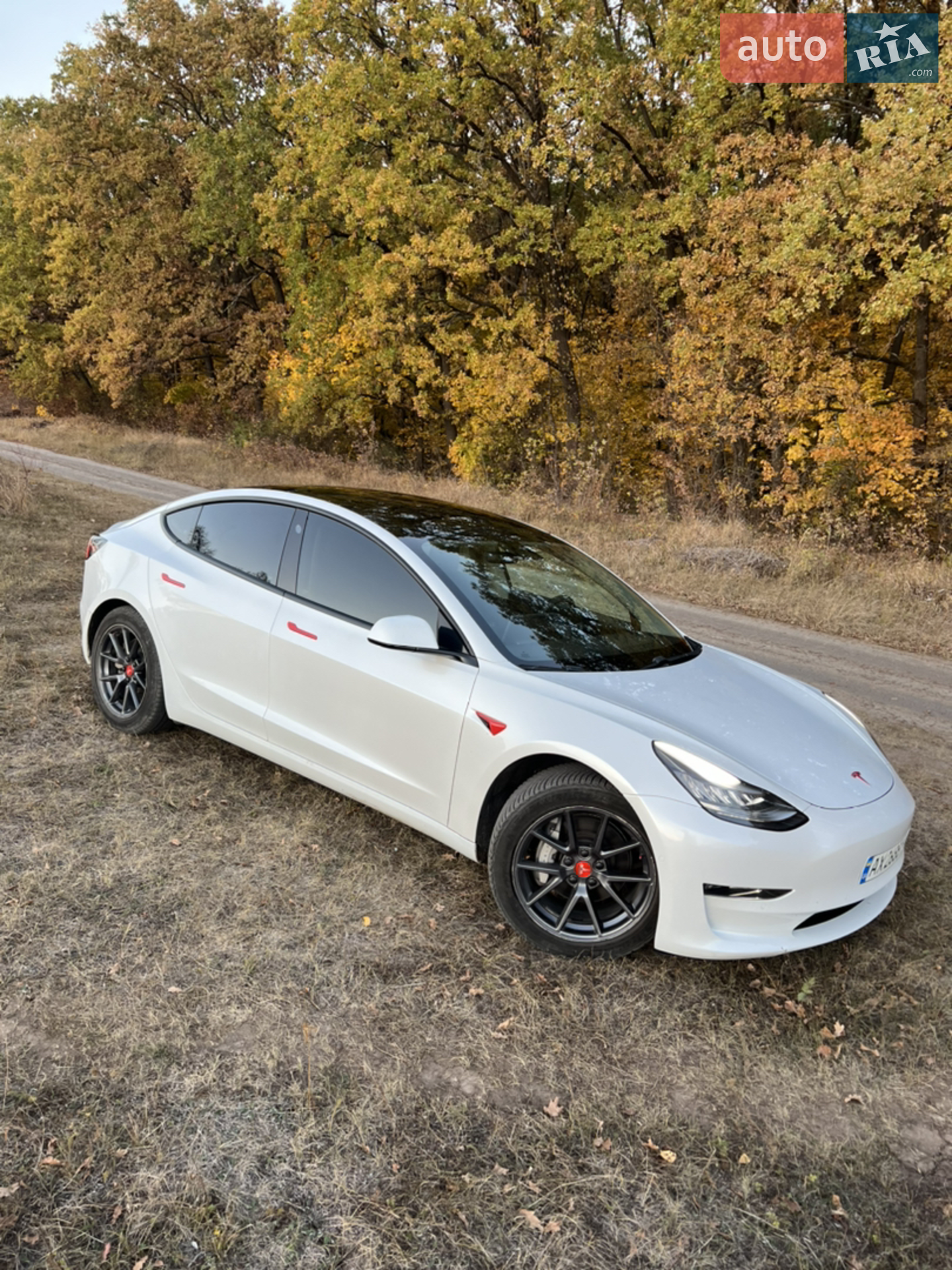 2020 Tesla Model 3 - мініатюра 4
