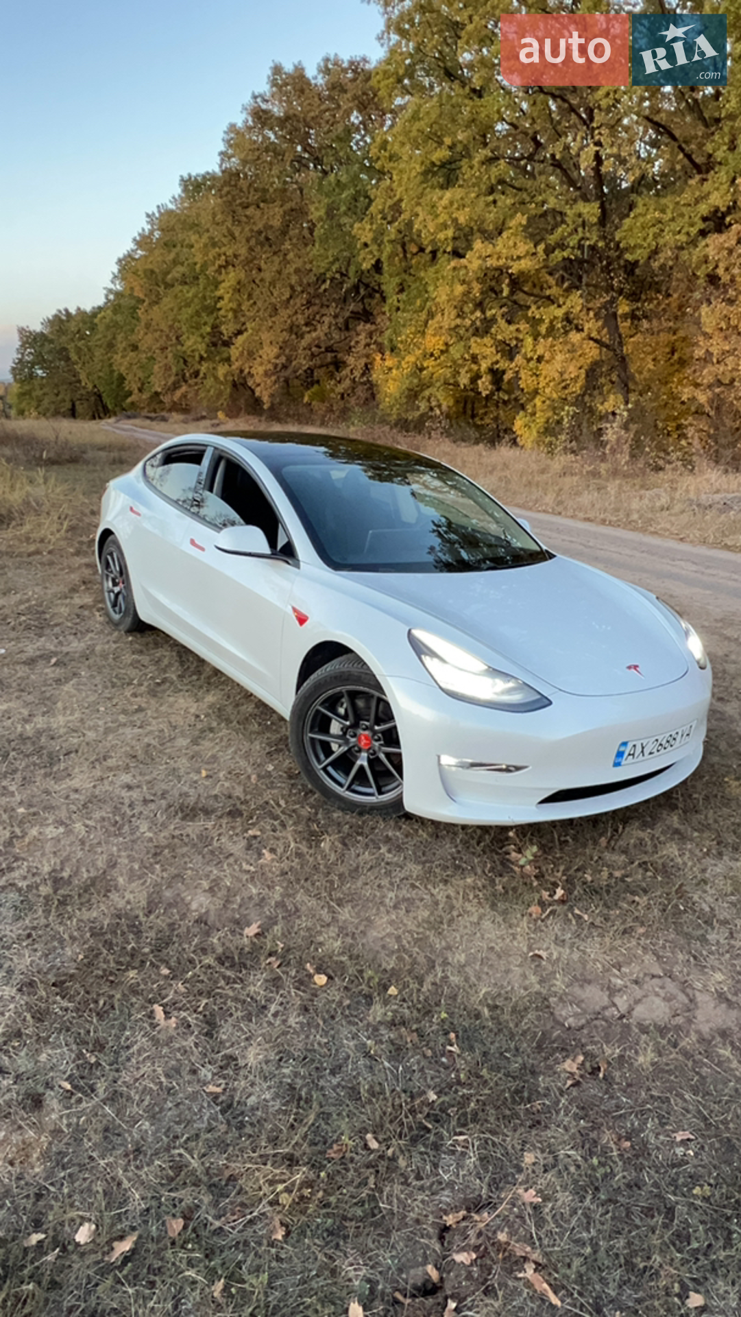 2020 Tesla Model 3 - мініатюра 12