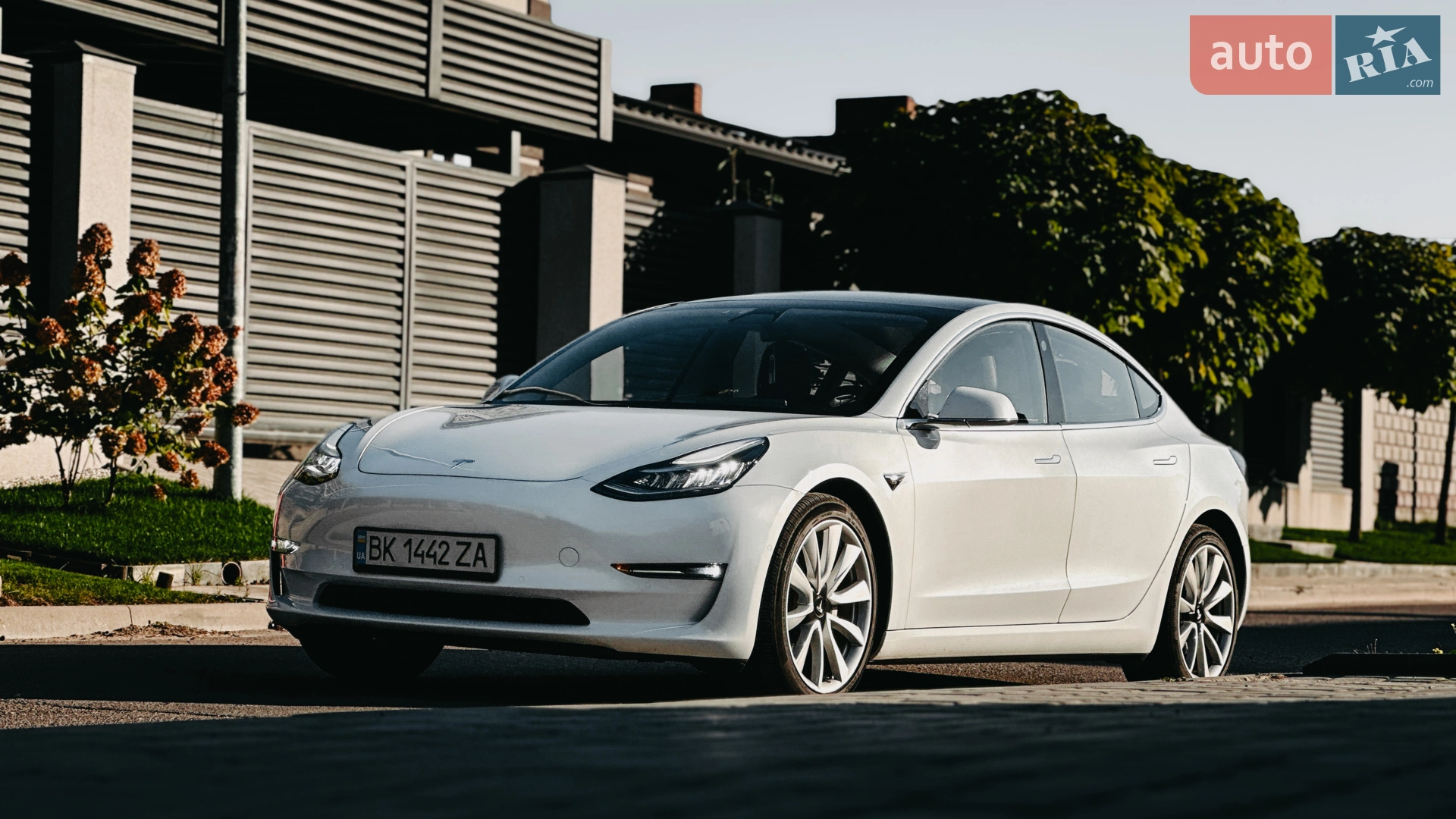 2020 Tesla Model 3 - фото 1