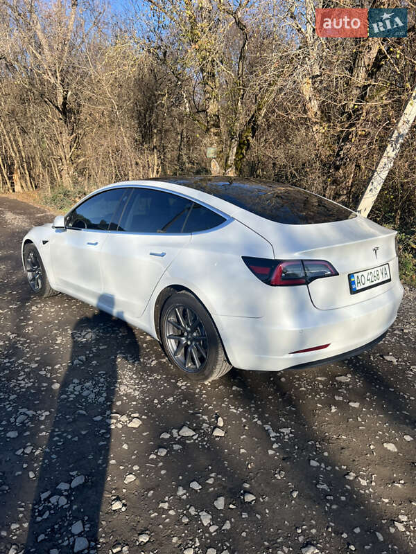 Седан Tesla Model 3 2019 в Ужгороді