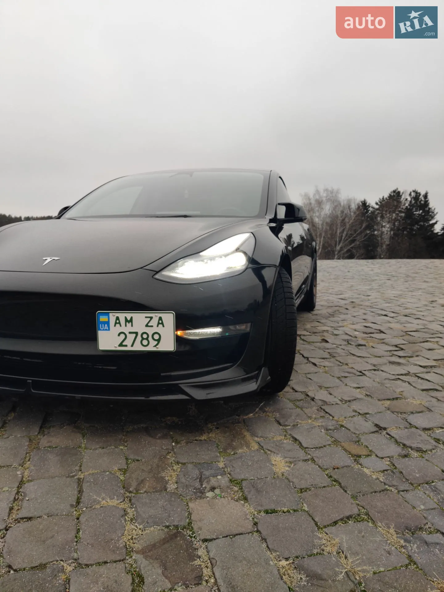 2022 Tesla Model 3 - мініатюра 10