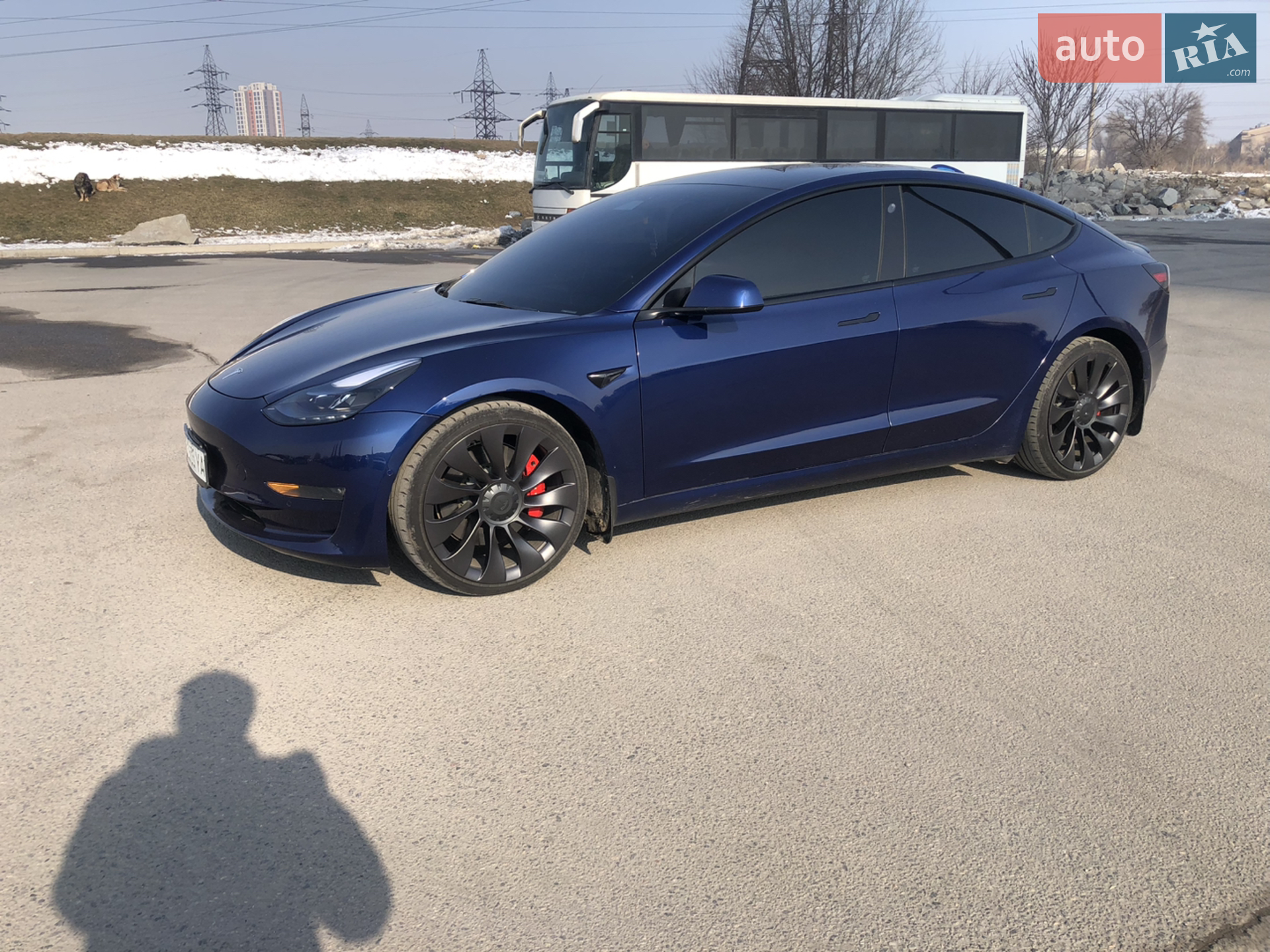 2021 Tesla Model 3 - фото 1