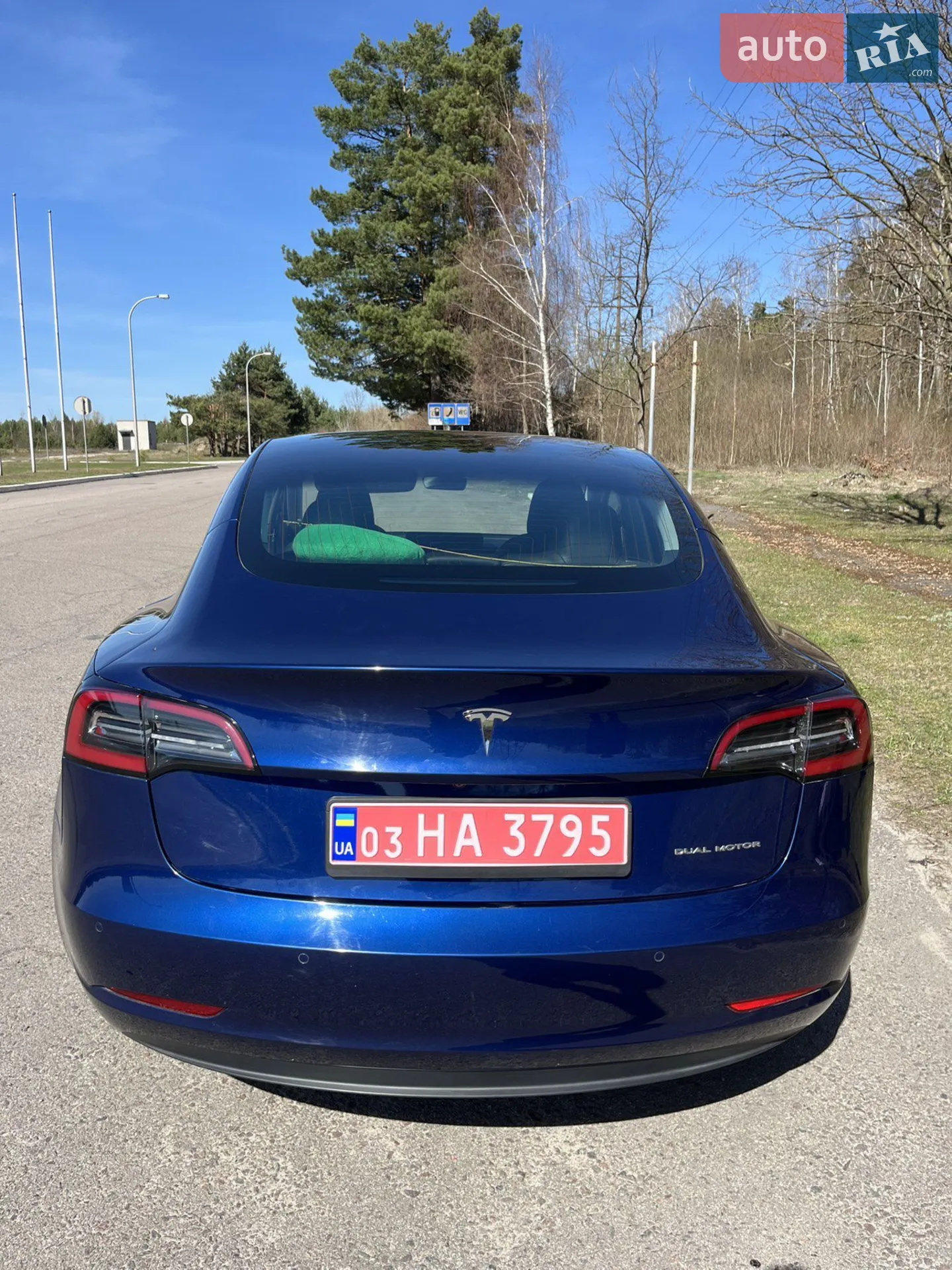 2019 Tesla Model 3 - мініатюра 8