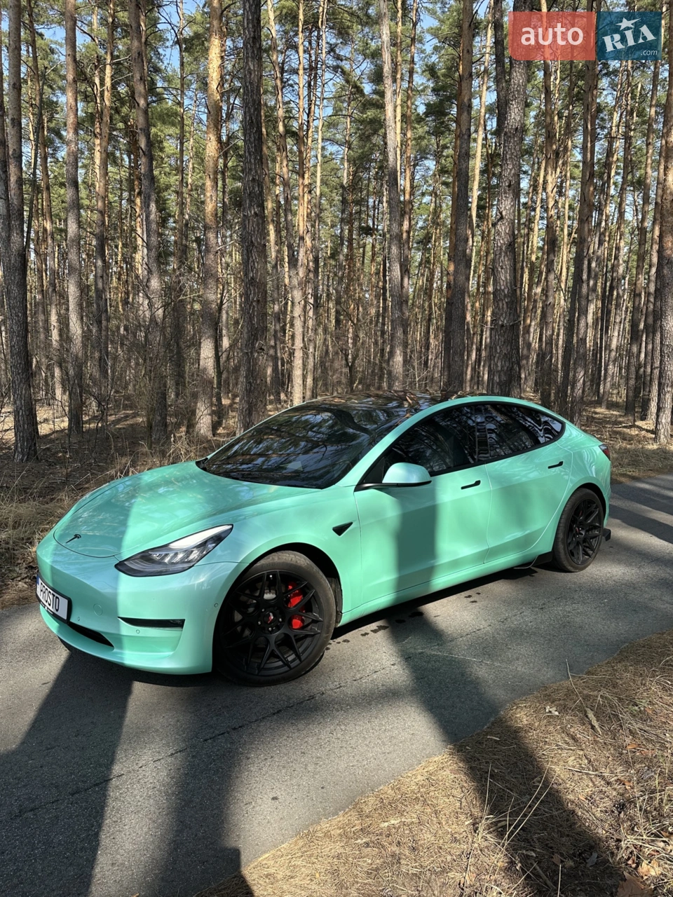 2018 Tesla Model 3 - мініатюра 11