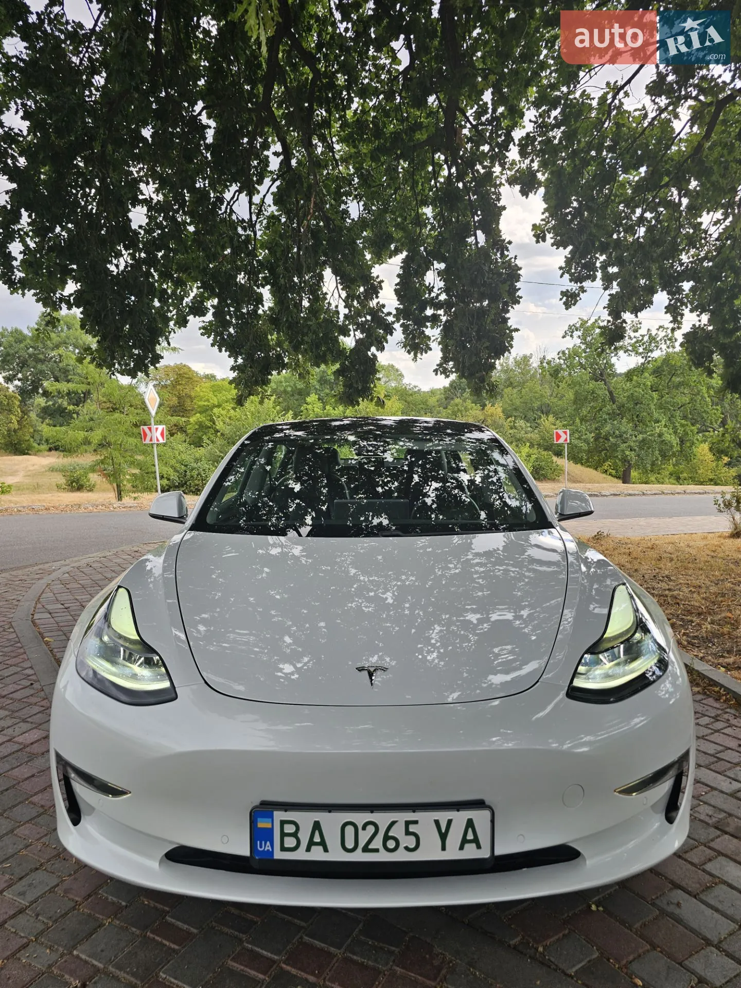 2021 Tesla Model 3 - мініатюра 5