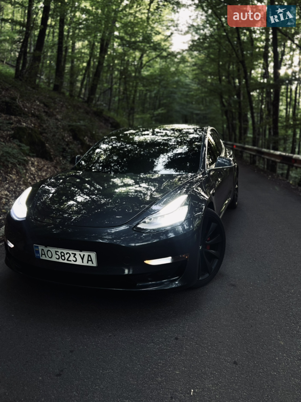 2019 Tesla Model 3 - мініатюра 18