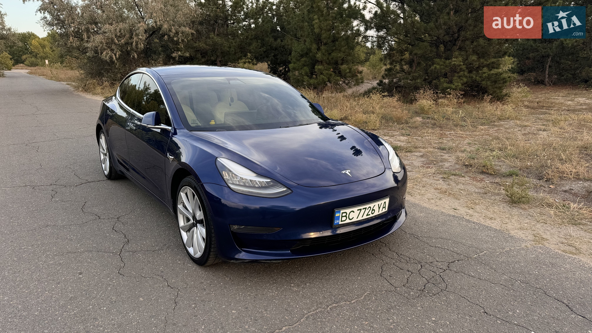 2019 Tesla Model 3 - мініатюра 9