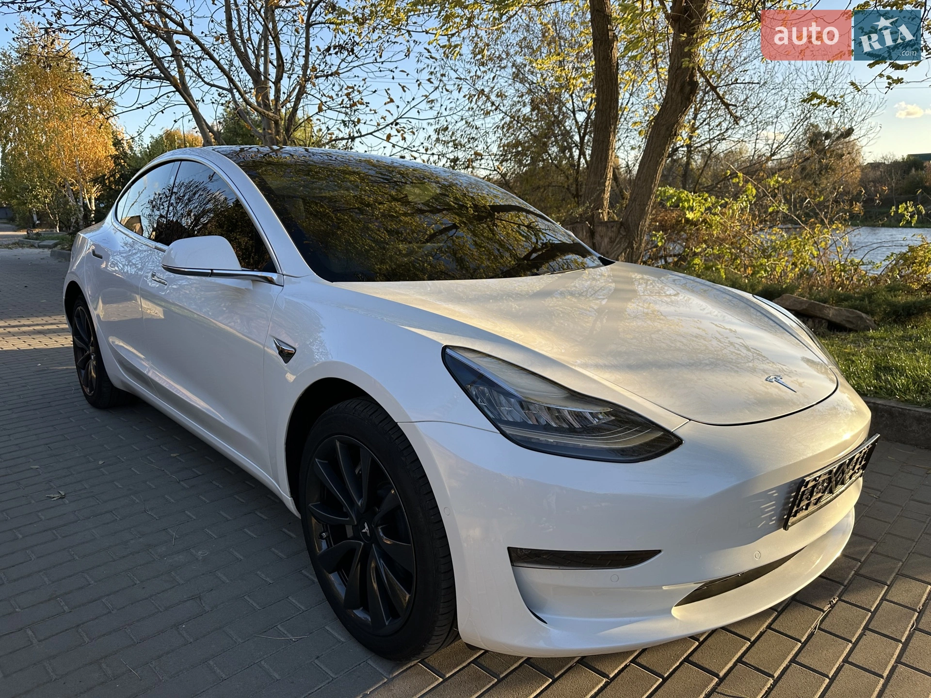 2019 Tesla Model 3 - мініатюра 3