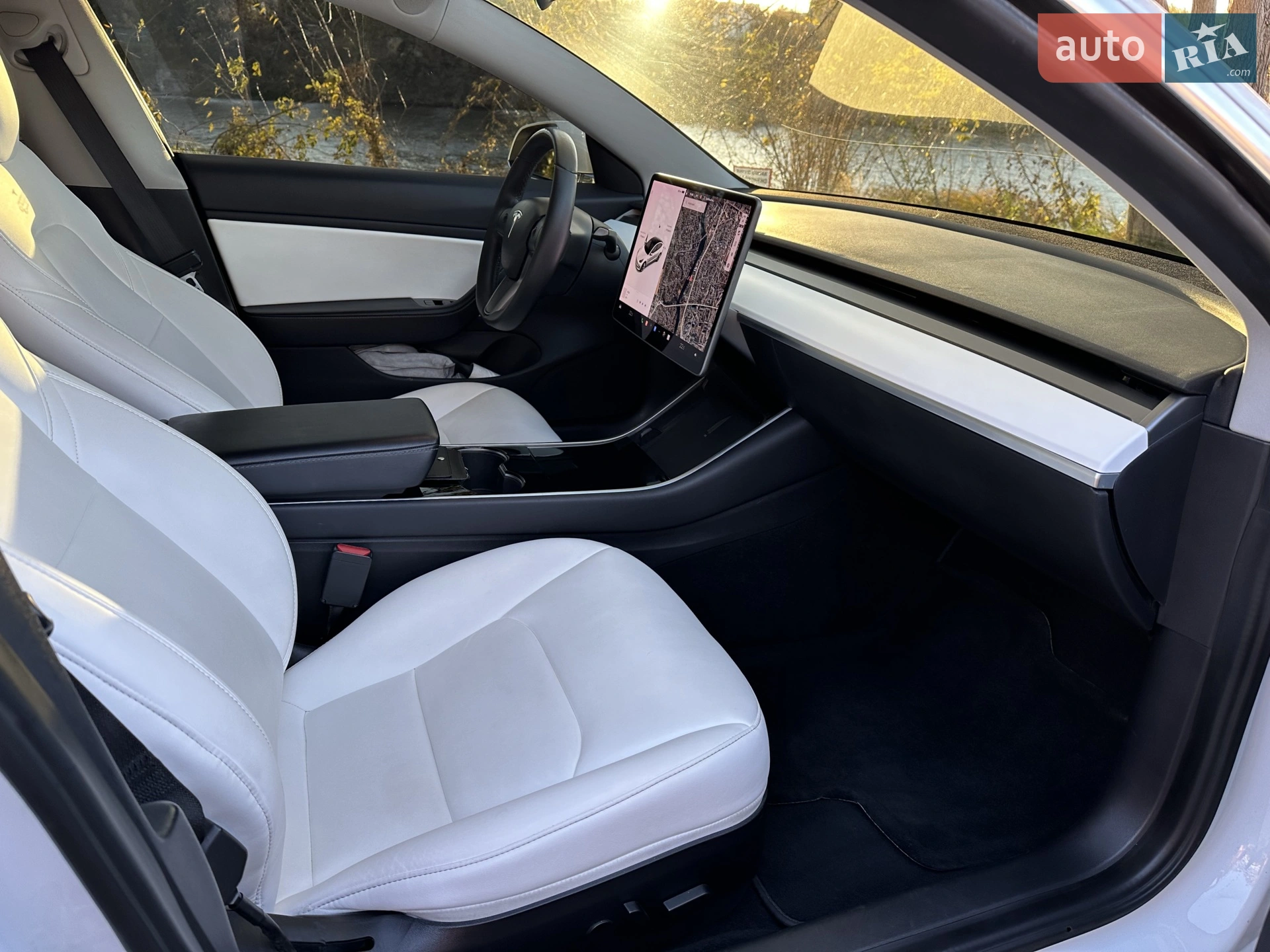 2019 Tesla Model 3 - мініатюра 25
