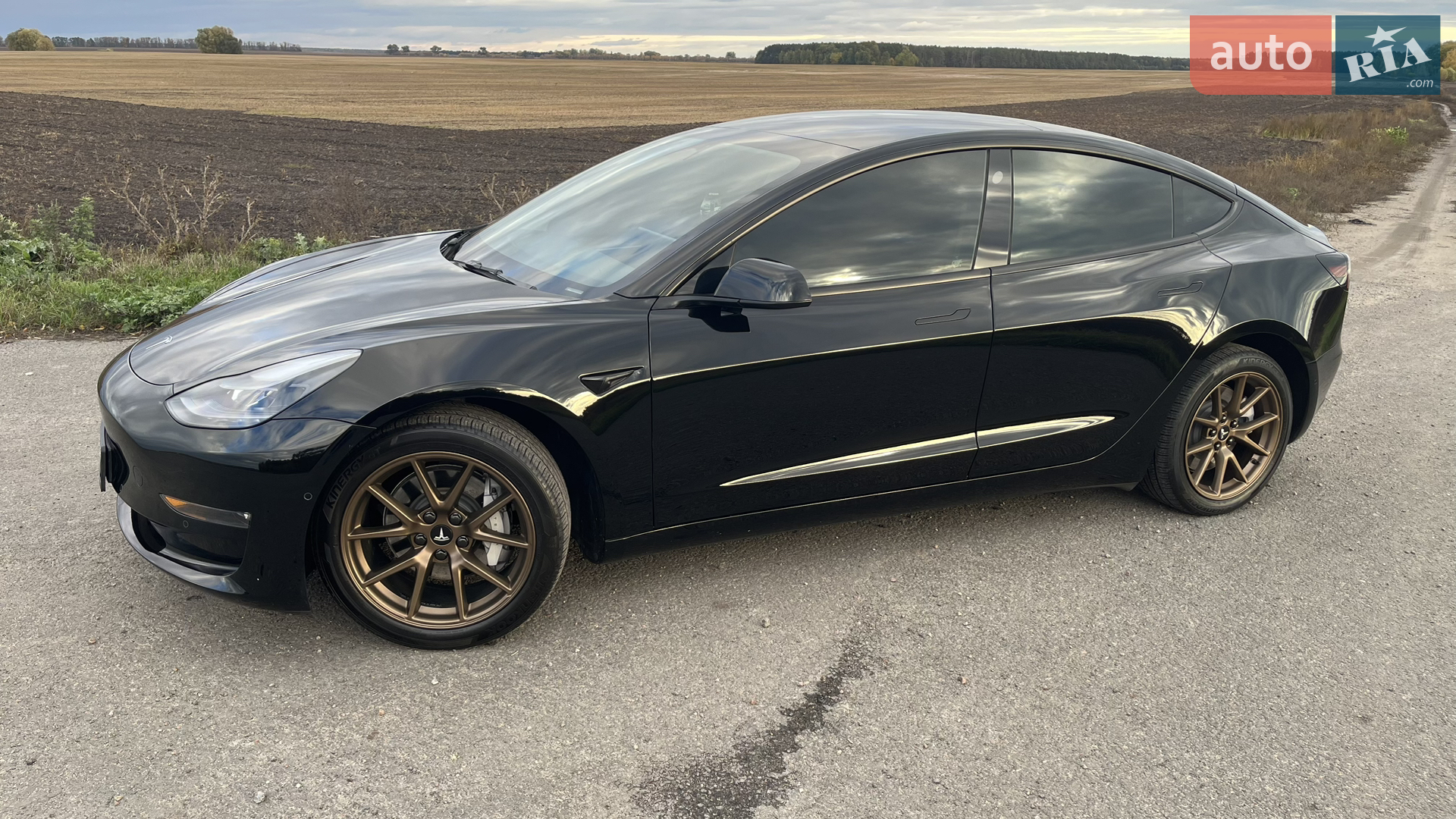 2022 Tesla Model 3 - фото 1
