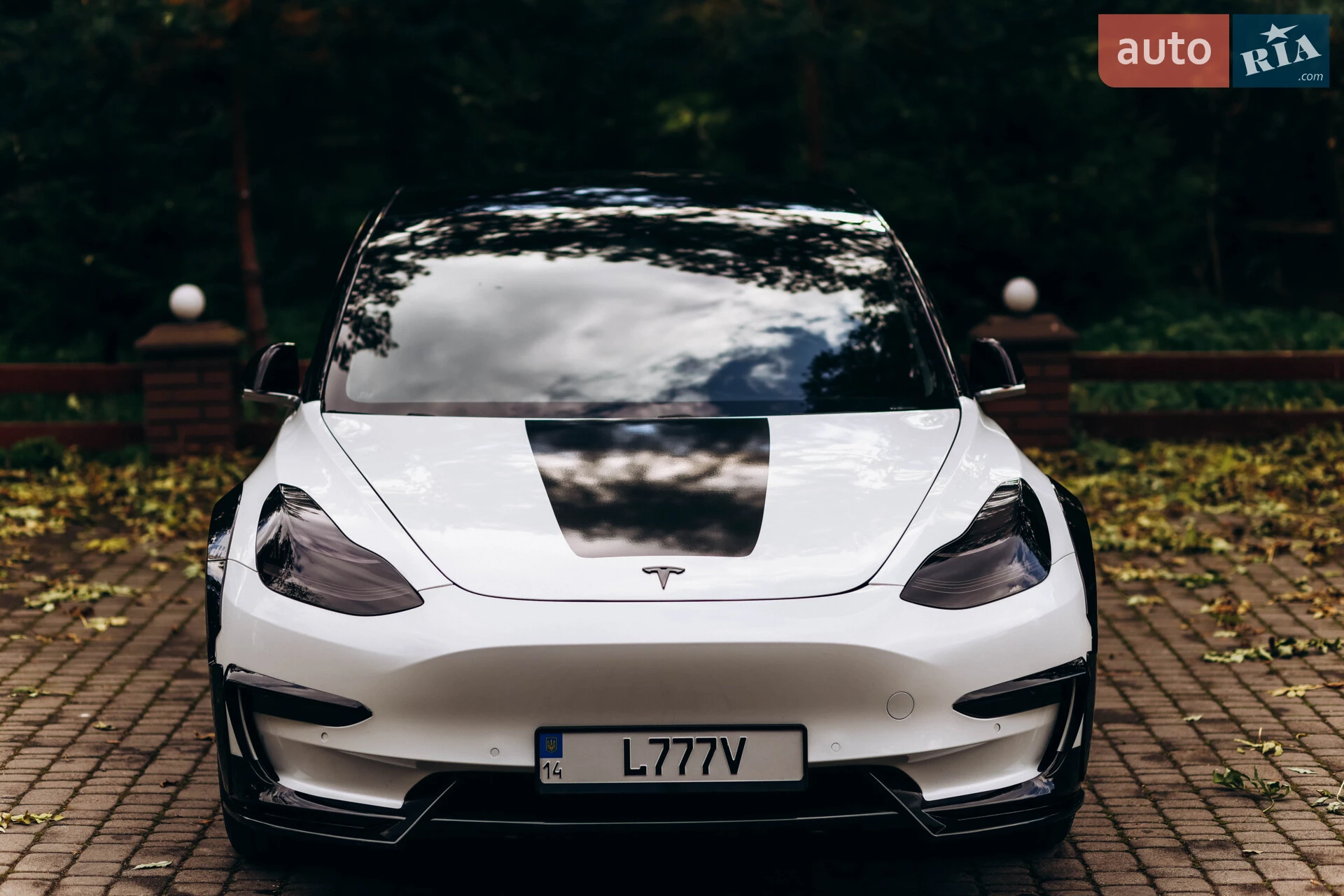 2019 Tesla Model 3 - мініатюра 10