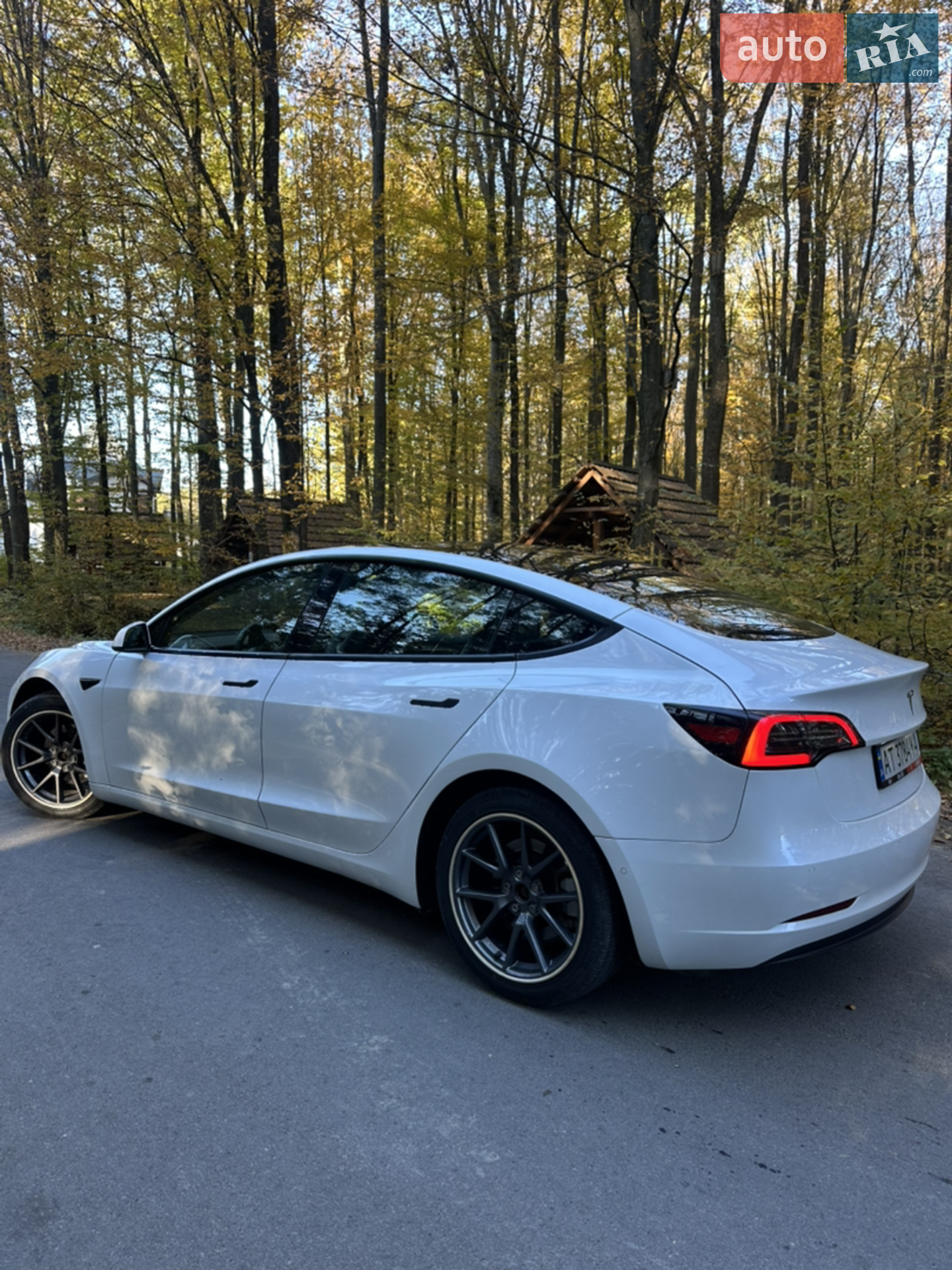 2021 Tesla Model 3 - мініатюра 6