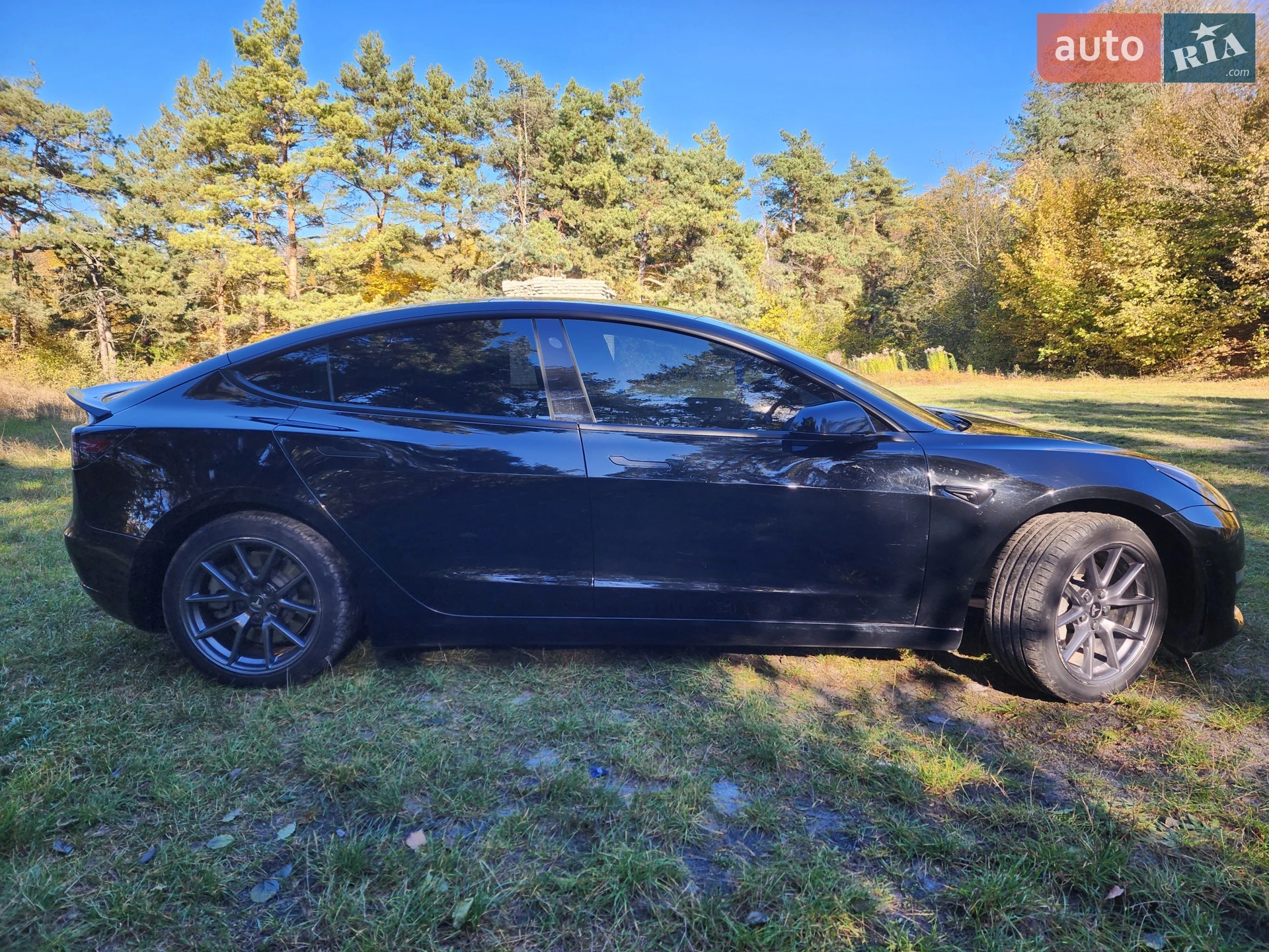 2021 Tesla Model 3 - мініатюра 2