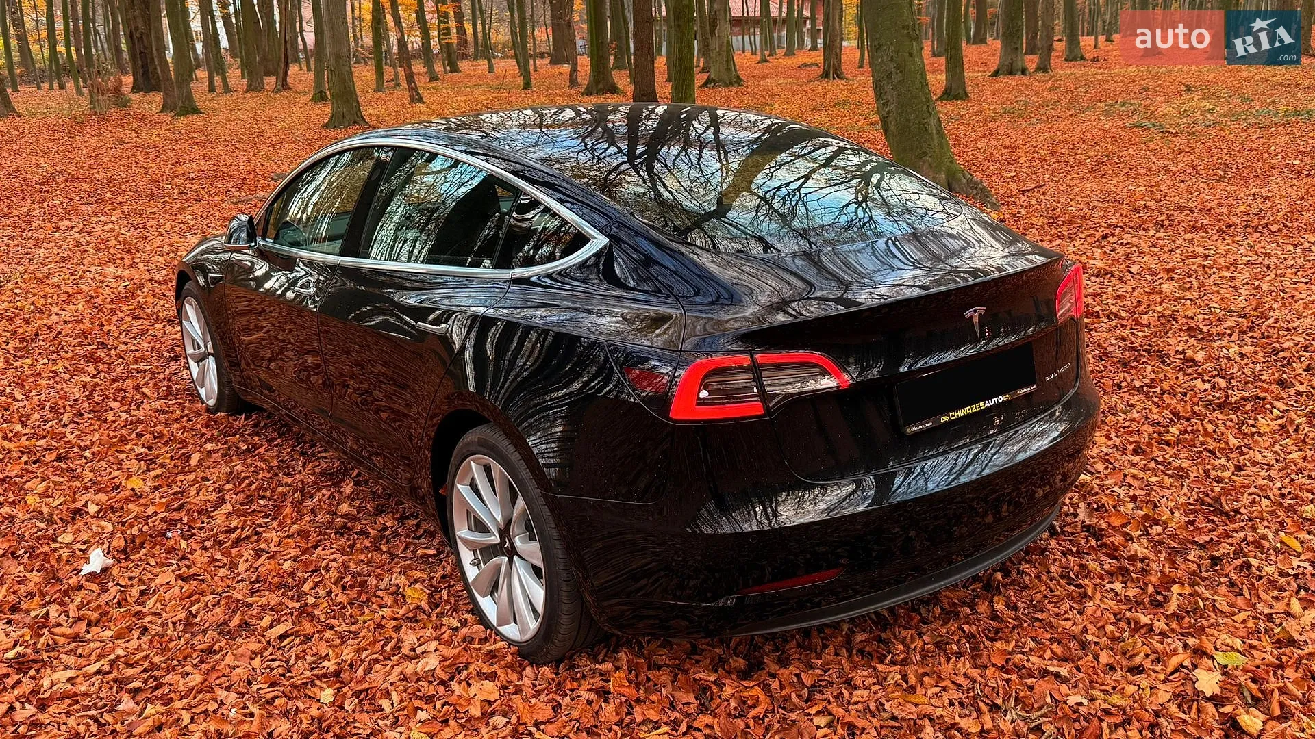 2019 Tesla Model 3 - мініатюра 6