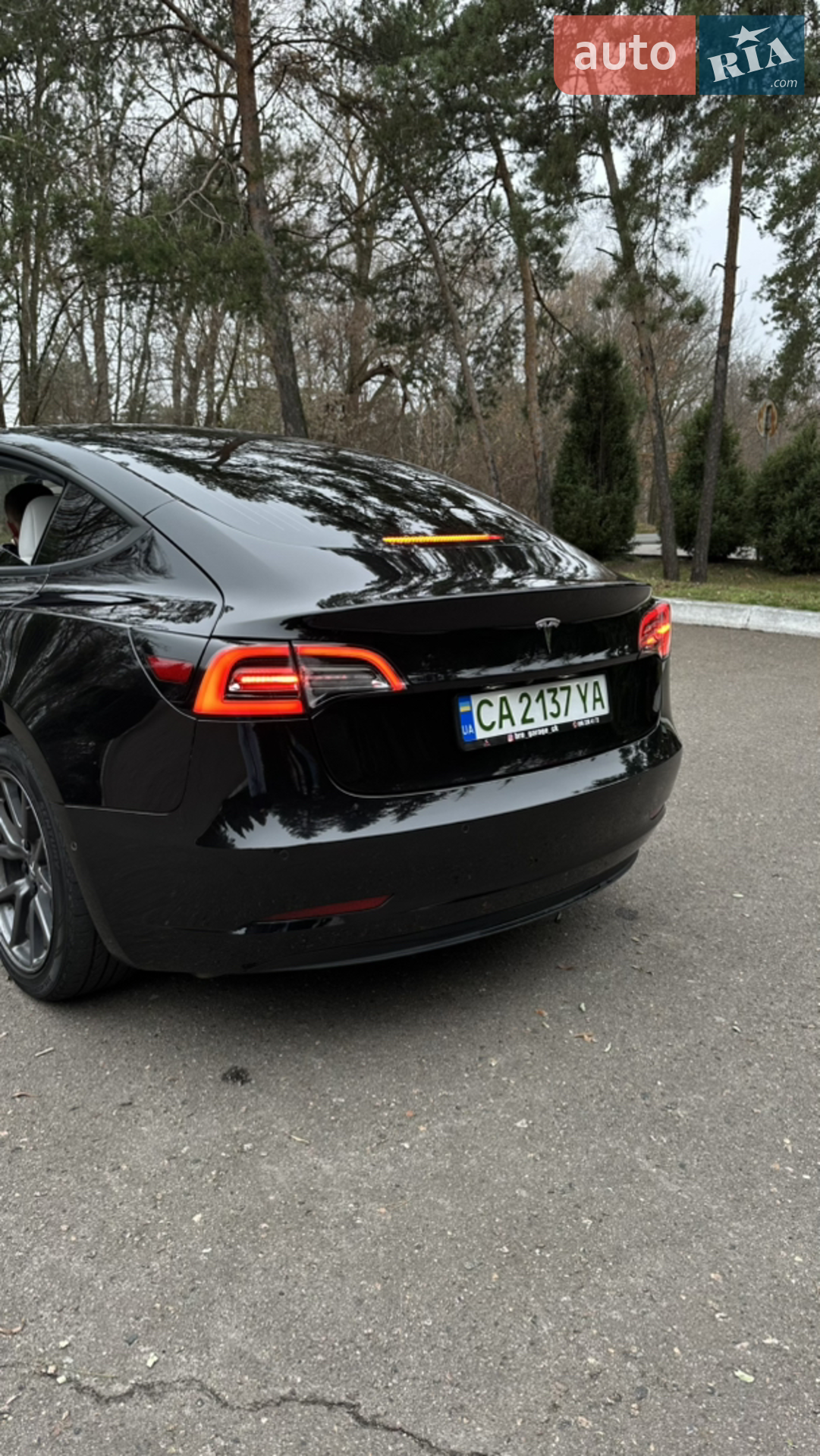 2018 Tesla Model 3 - мініатюра 47