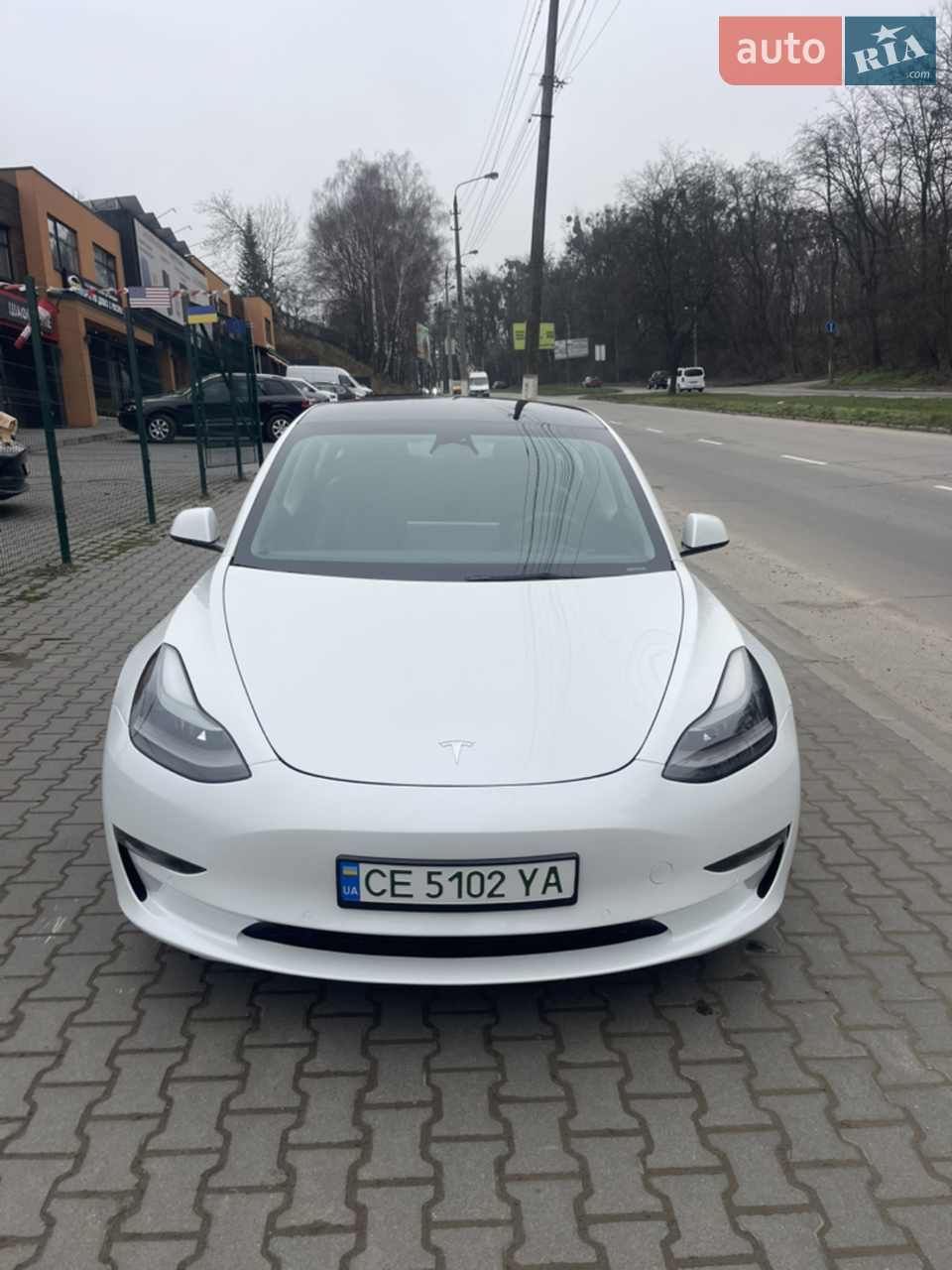 2021 Tesla Model 3 - мініатюра 23