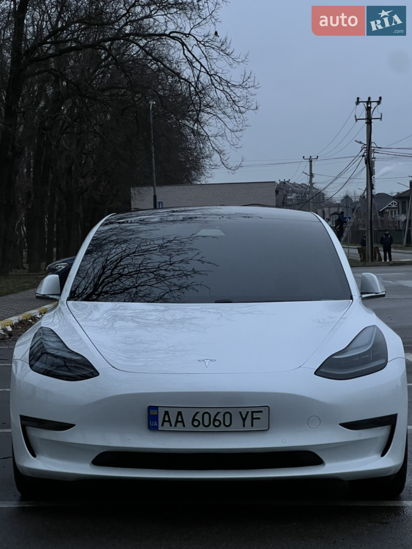 2019 Tesla Model 3 - мініатюра 2
