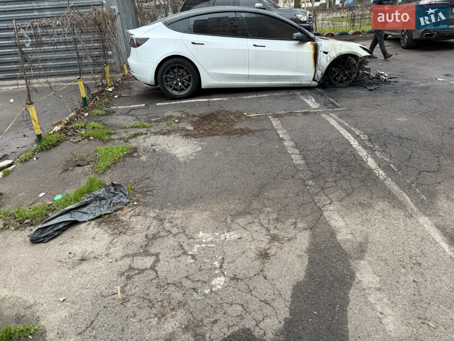 2020 Tesla Model 3 - фото 1