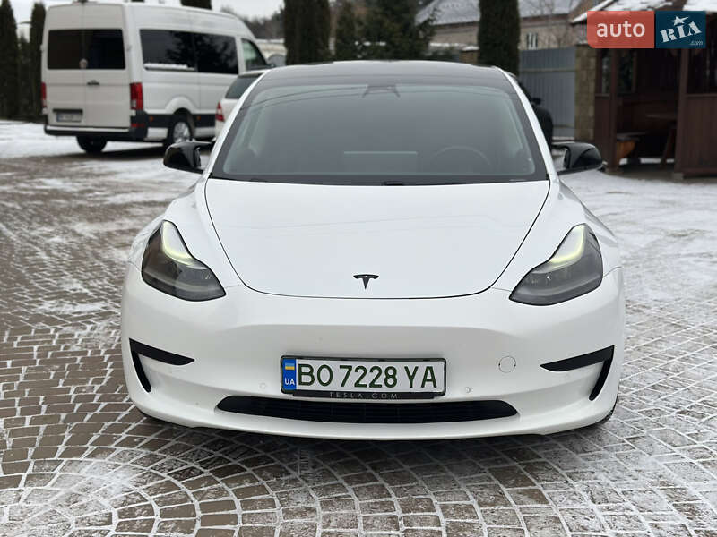 2021 Tesla Model-3, VIN 5YJ3E7EA4MF900318:plate — фото 1 (autoria)