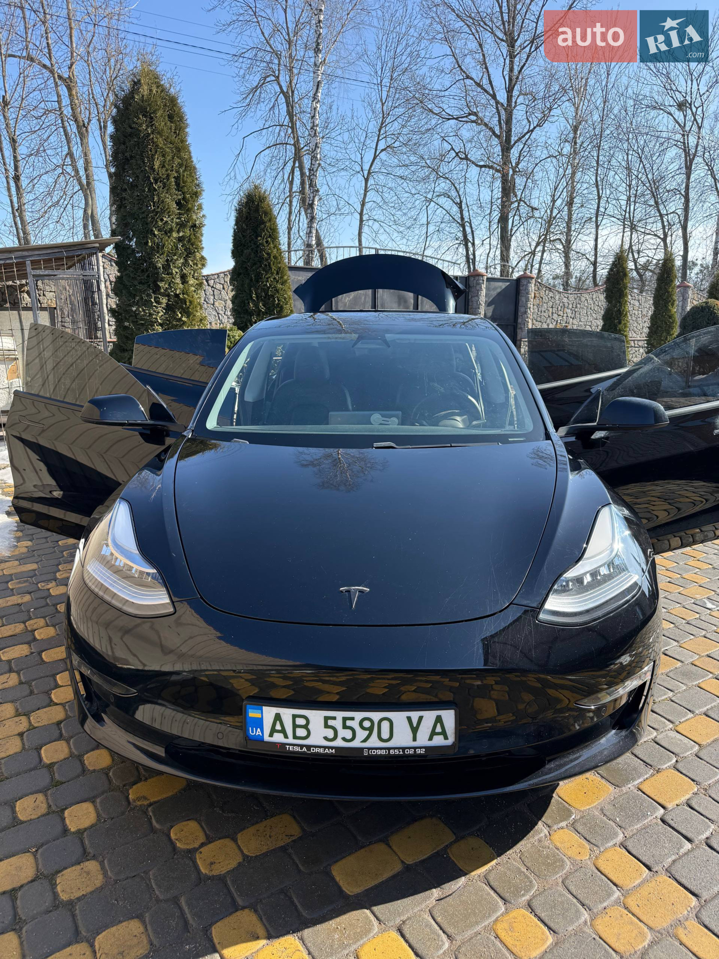 2020 Tesla Model 3 - фото 1