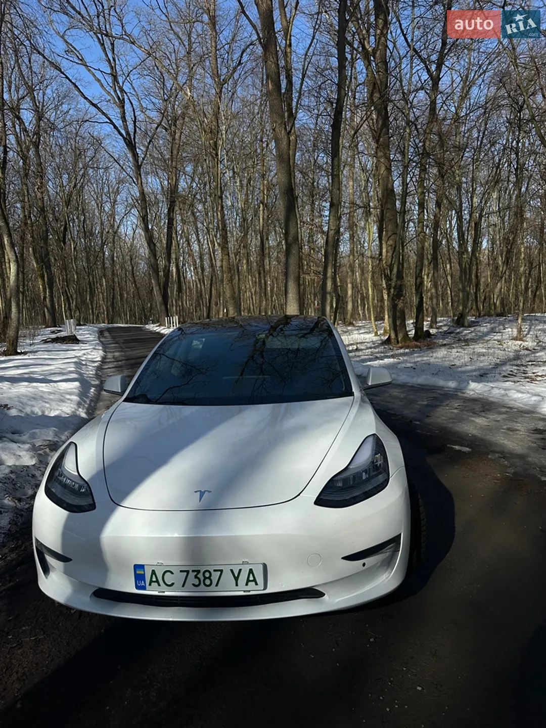 2019 Tesla Model 3 - мініатюра 13