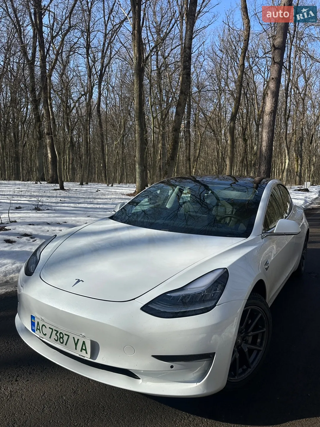 2019 Tesla Model 3 - мініатюра 2