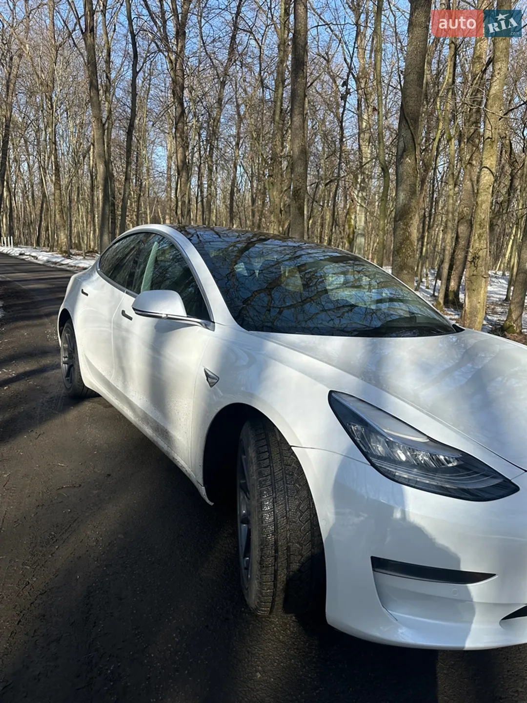 2019 Tesla Model 3 - мініатюра 8